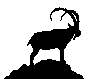 Wild Goat Web Design Logo